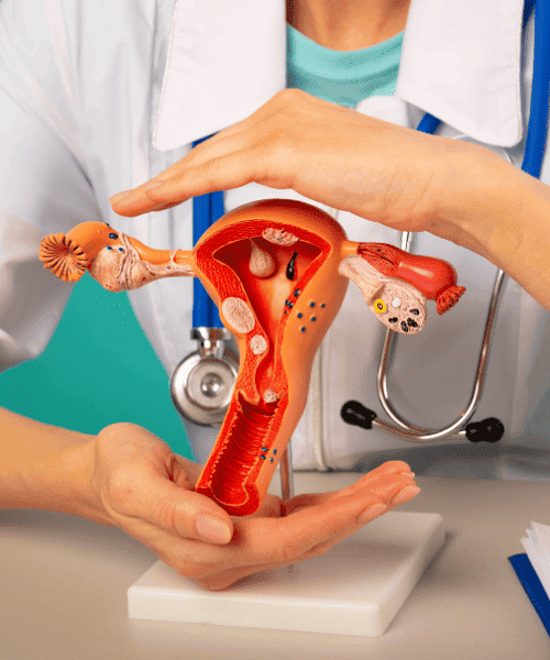 Gynecology